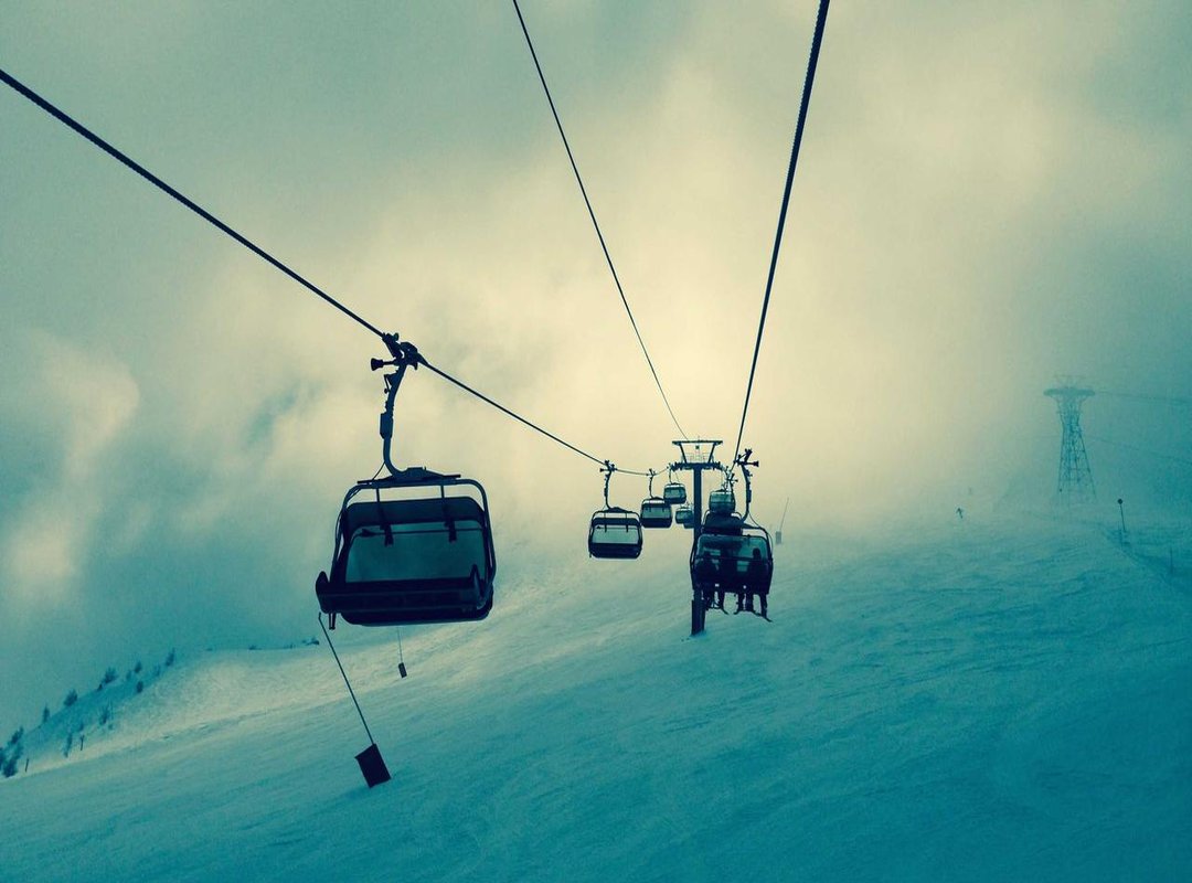 Step-by-Step: Assembling Your Monster Friend