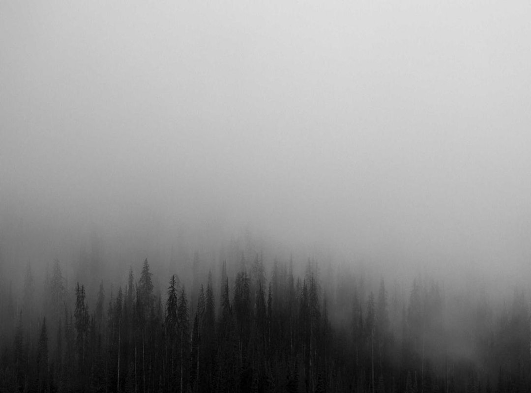 How to Join the Official Cikgu Tihani Channel (Step-by-Step)