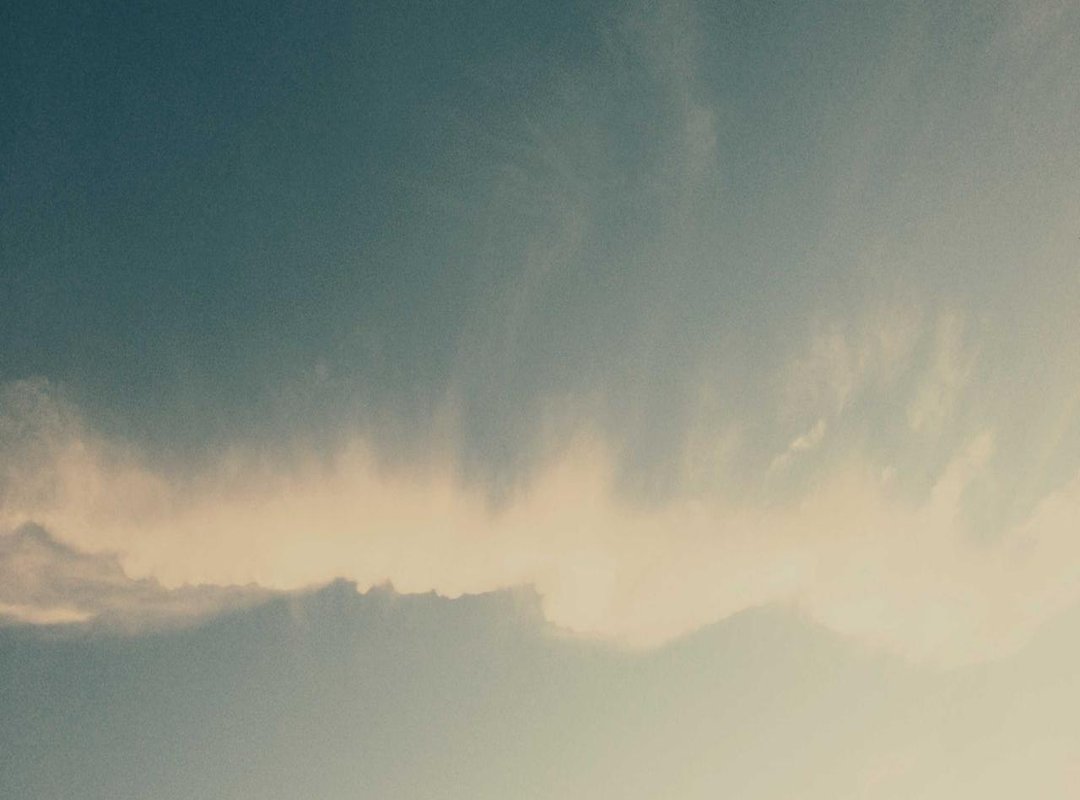 The Hall of Champions: Fighters Forged by Danny Lerner