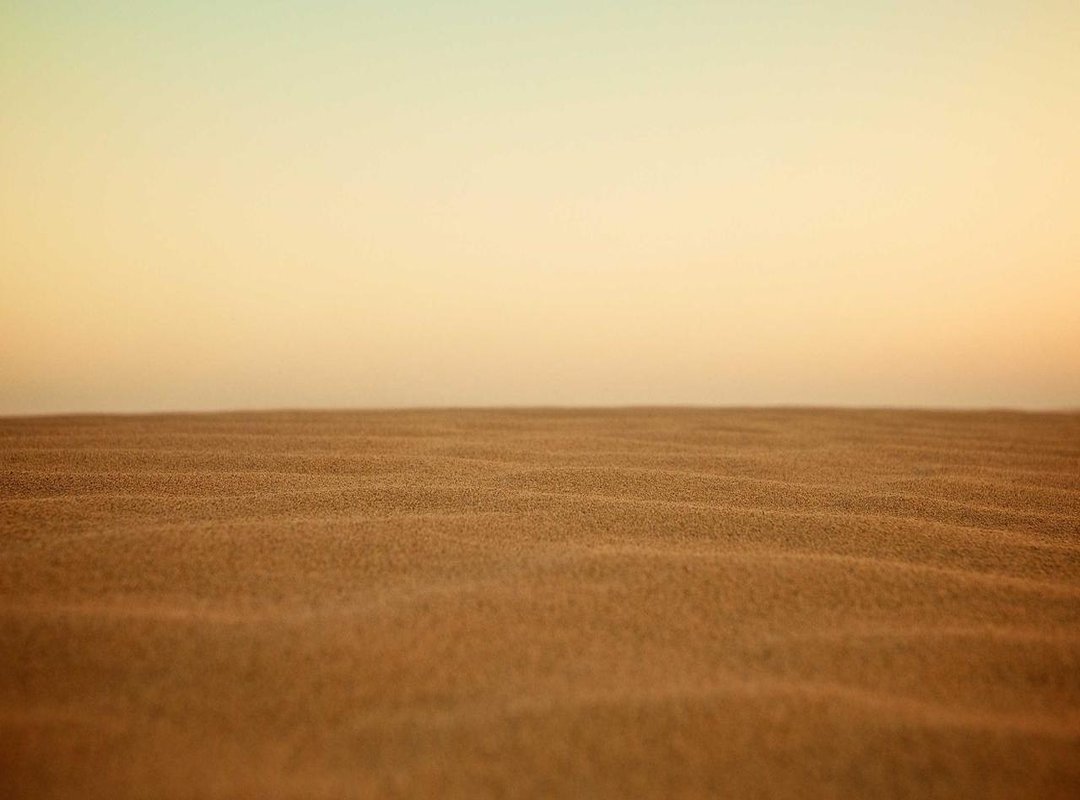 PC Requirements: Can Your System Run the Game?