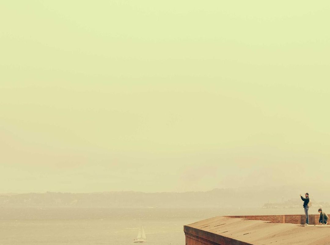 Highlight Reel: Her Most Memorable Tweets and Viral Moments