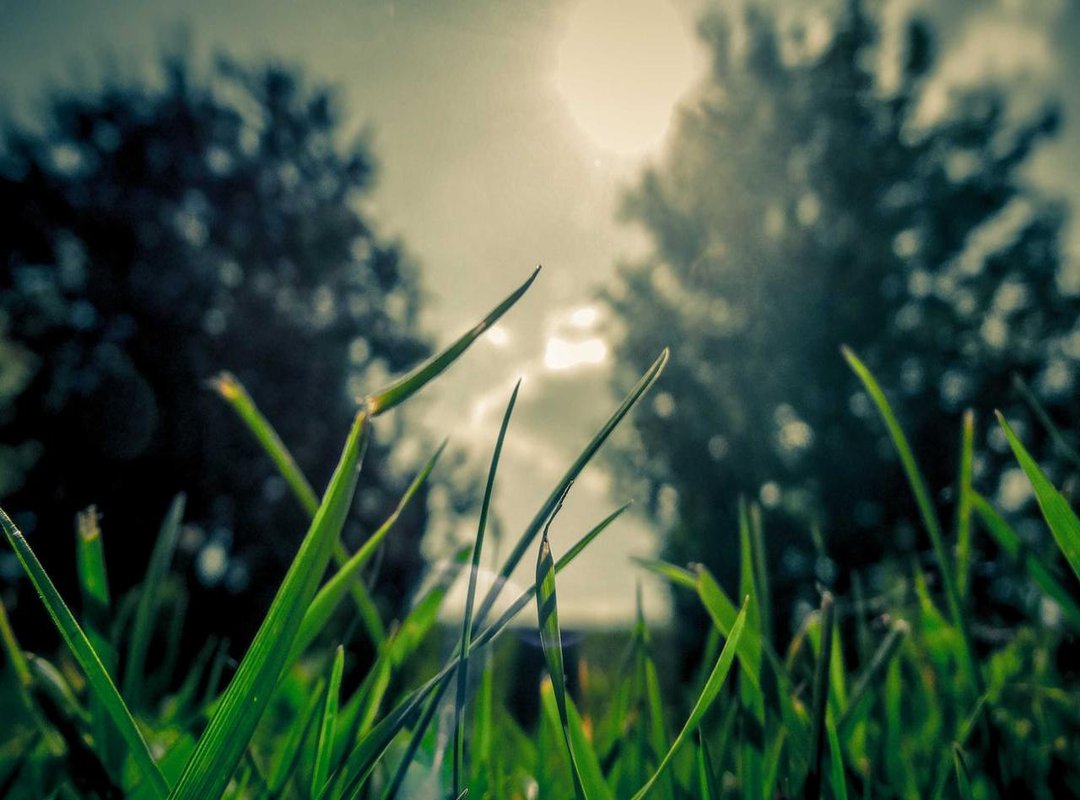 Entertainment Central: Finding Movie, TV, and Music Groups