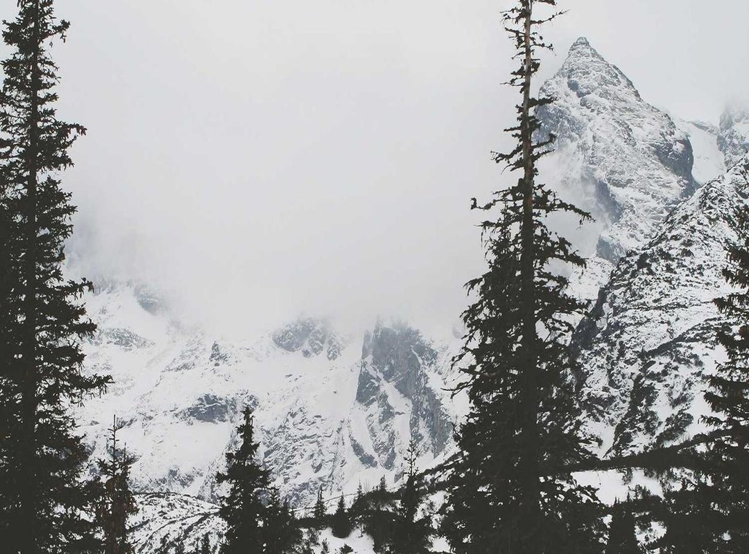 Breaking the Silence: The Impact of Her Fertility Story