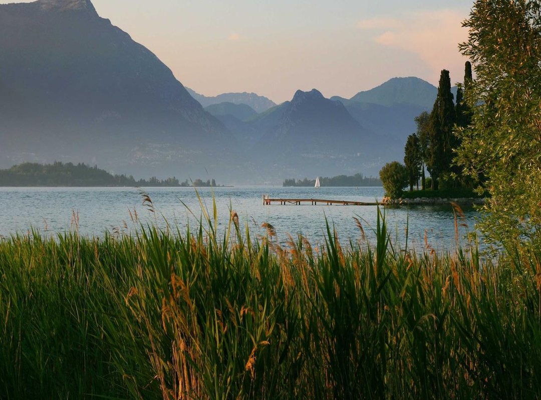 Wisdom for Life's Journey: Quotes on Family, Kindness, and Community