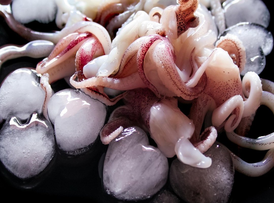 squid game season 2 release date countdown