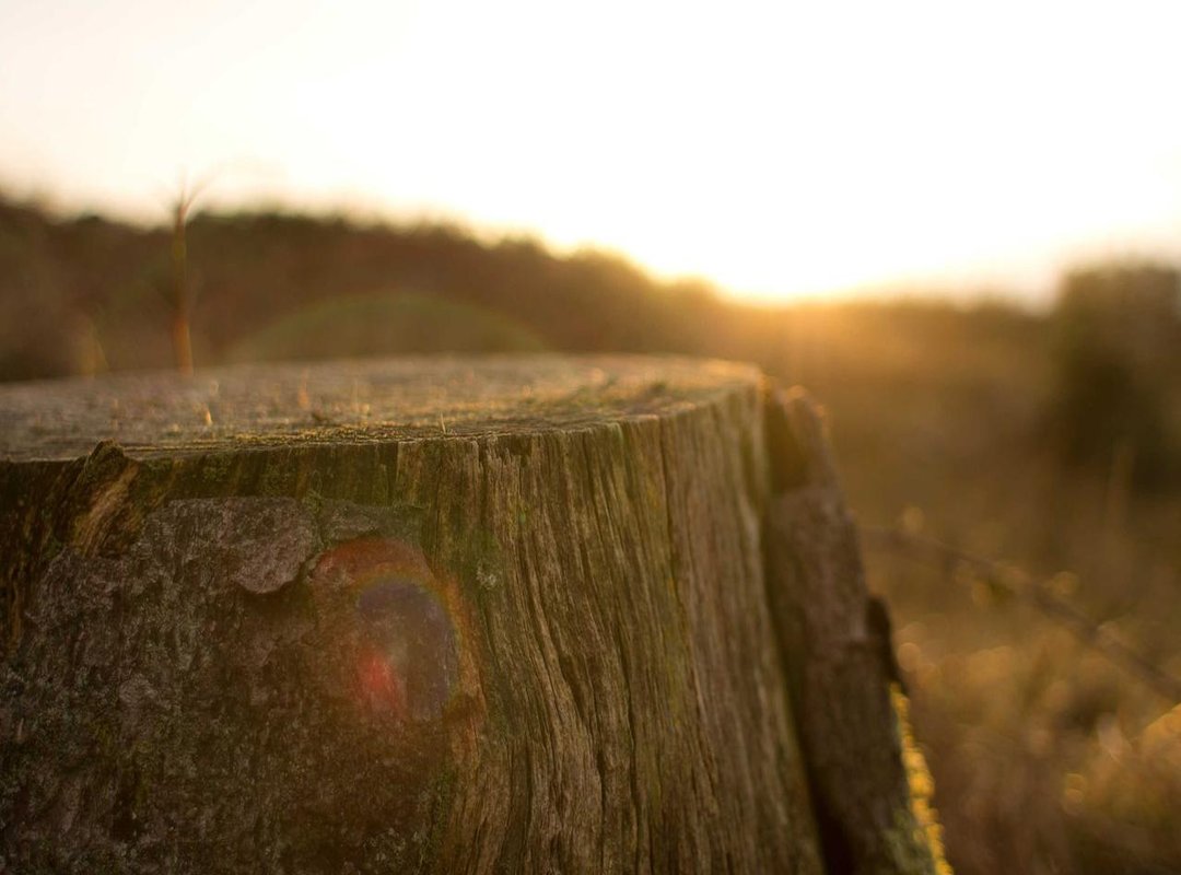 Go Beyond Crayons: Creative Ways to Use Your Coloring Pages